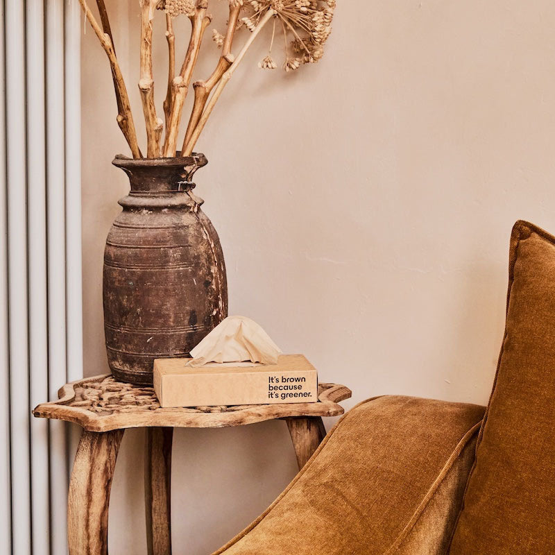 Nicepaper Unbleached Bamboo Tissues