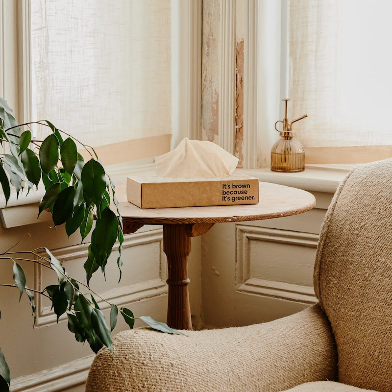 Nicepaper Unbleached Bamboo Tissues