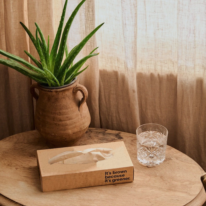 Nicepaper Unbleached Bamboo Tissues